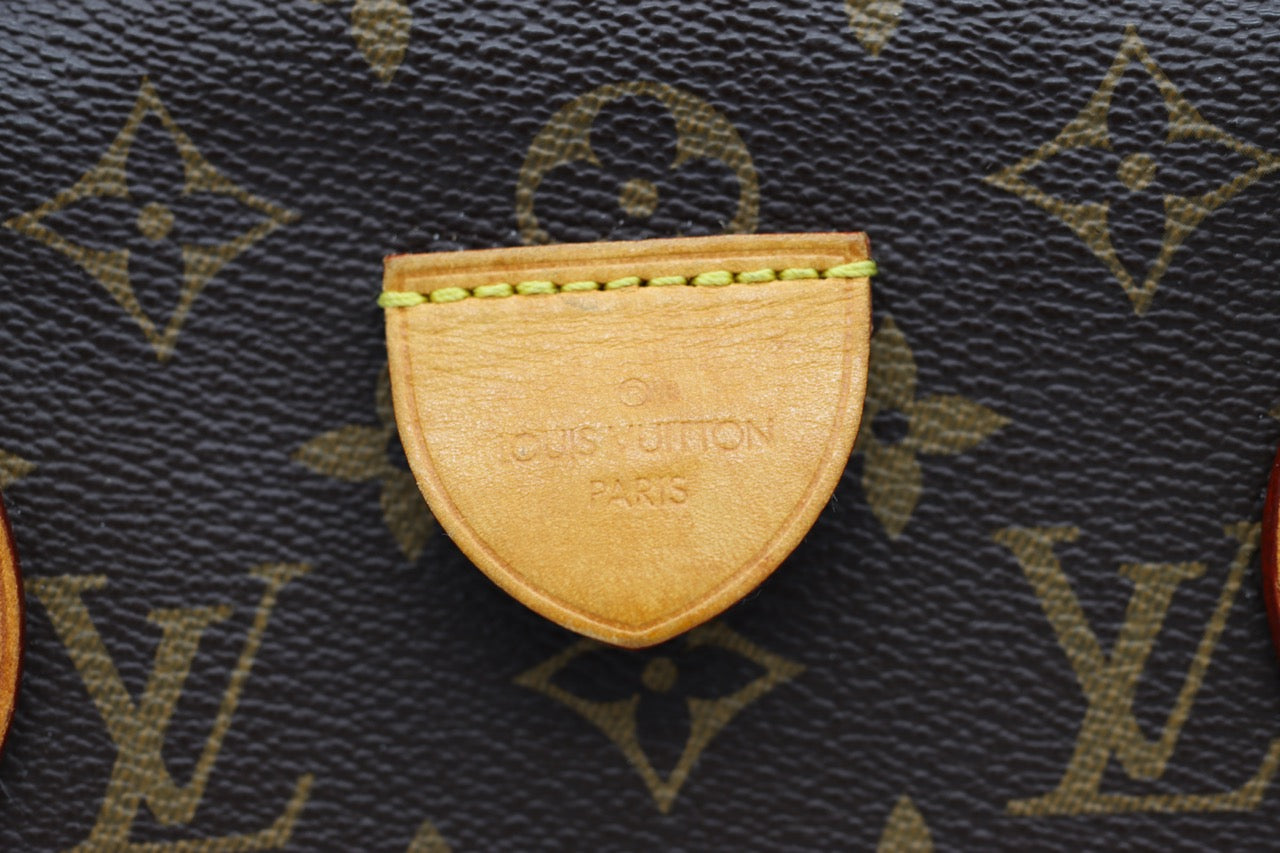Louis Vuitton Rivoli Monogram Bag