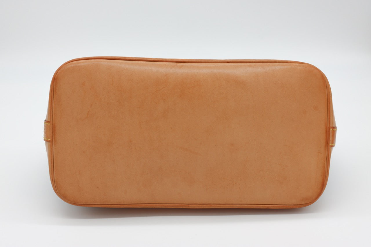 Louis Vuitton Alma PM Monogram Bag