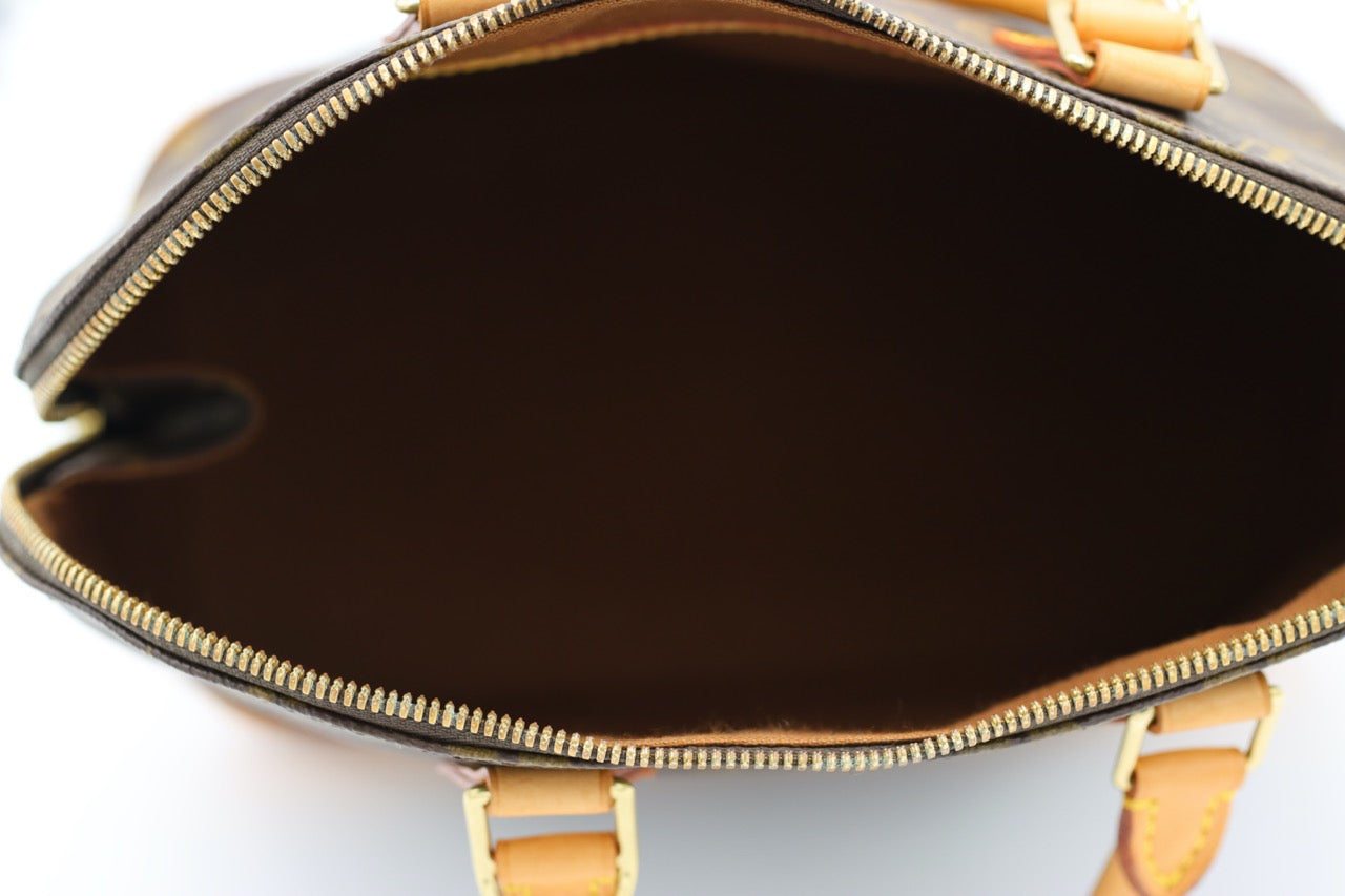 Louis Vuitton Alma PM Monogram Bag